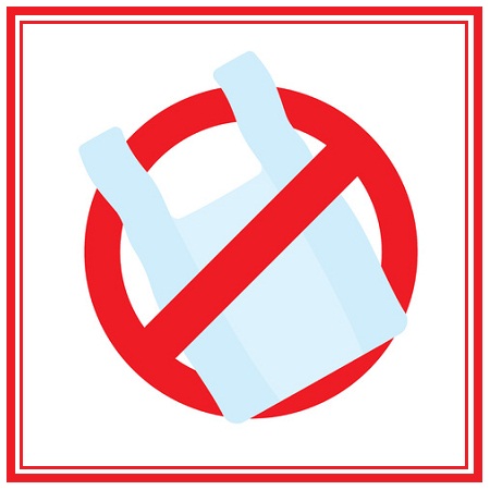 OUR GREENER WORLD (A closer look)